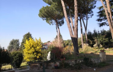 Quadrilocale via dei Colli, Centro, Grottaferrata